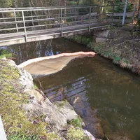 Home.jpg